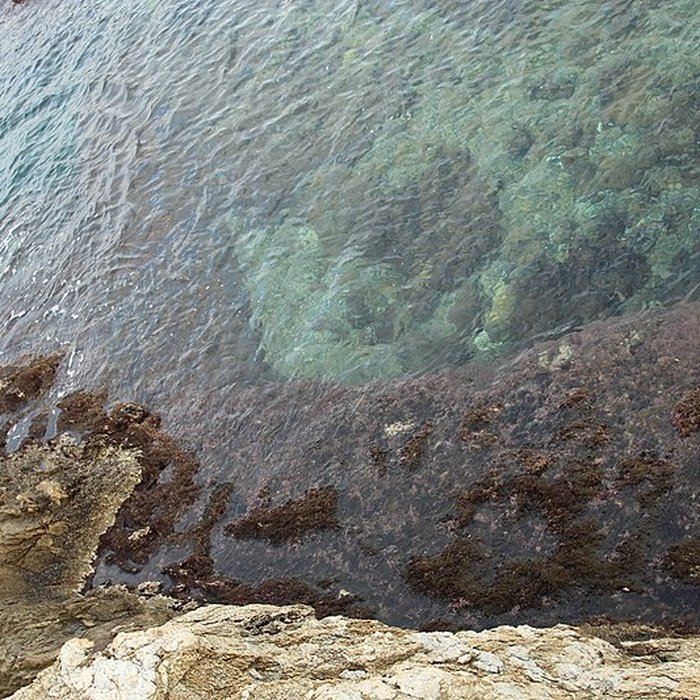 Photo de Vivier maritime de la Gaillarde à Roquebrune-sur-Argens