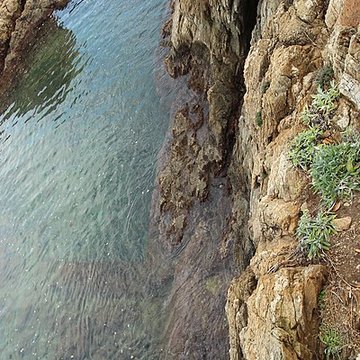Vivier maritime de la Gaillarde à Roquebrune-sur-Argens