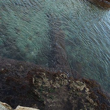 Vivier maritime de la Gaillarde à Roquebrune-sur-Argens