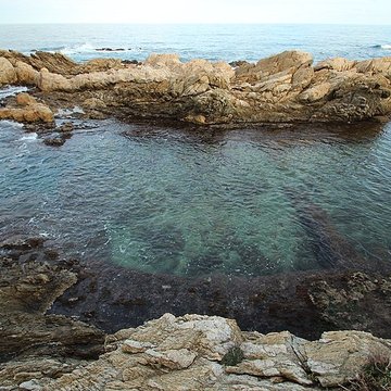 Vivier maritime de la Gaillarde à Roquebrune-sur-Argens