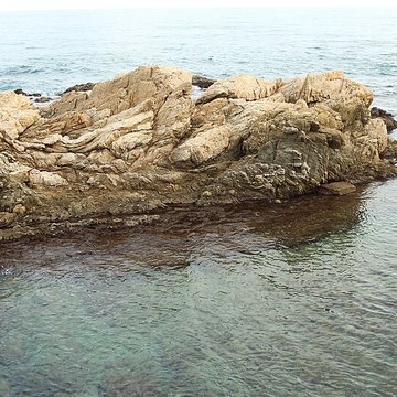 Vivier maritime de la Gaillarde à Roquebrune-sur-Argens