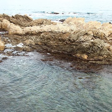 Vivier maritime de la Gaillarde à Roquebrune-sur-Argens