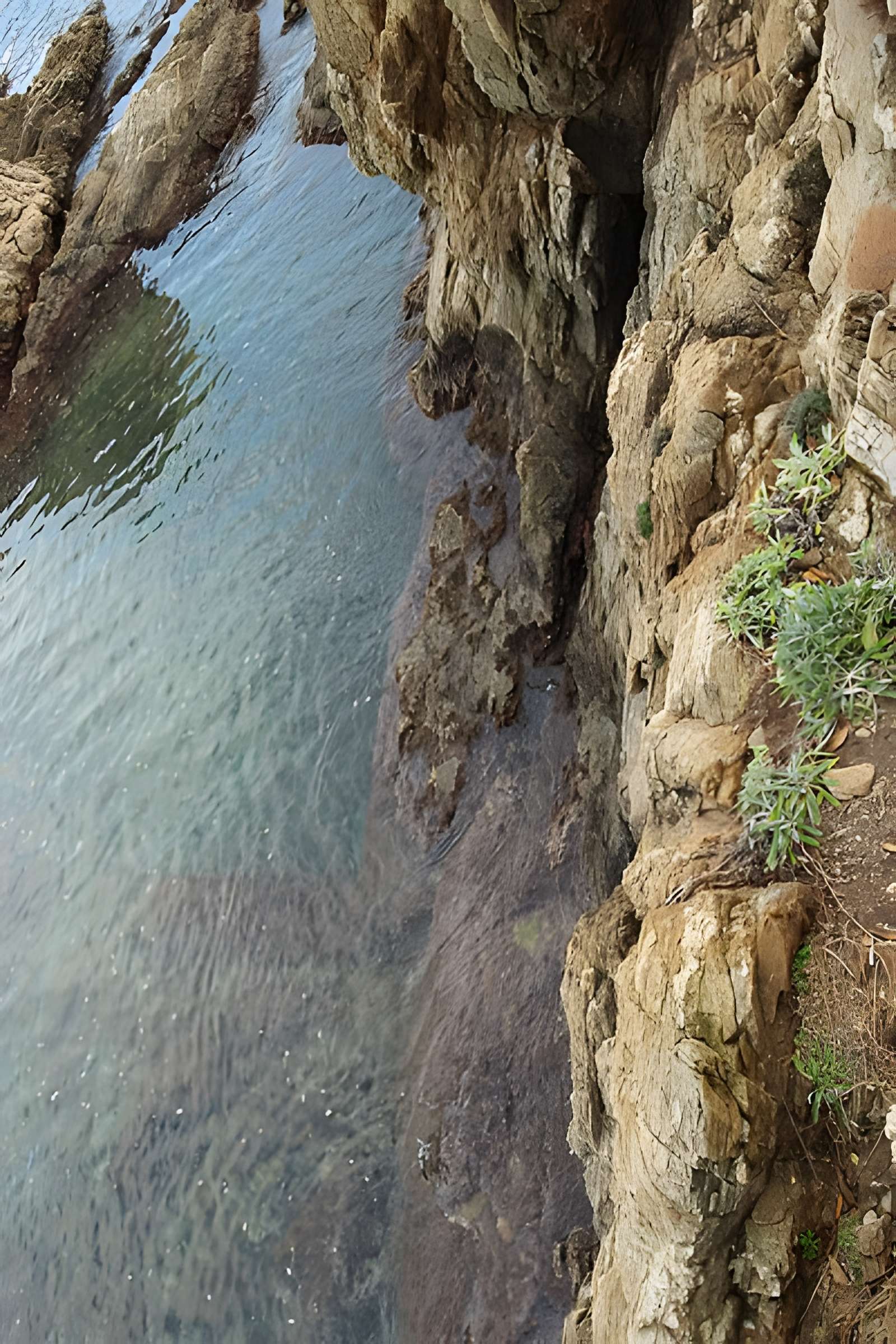 Vivier maritime de la Gaillarde à Roquebrune-sur-Argens