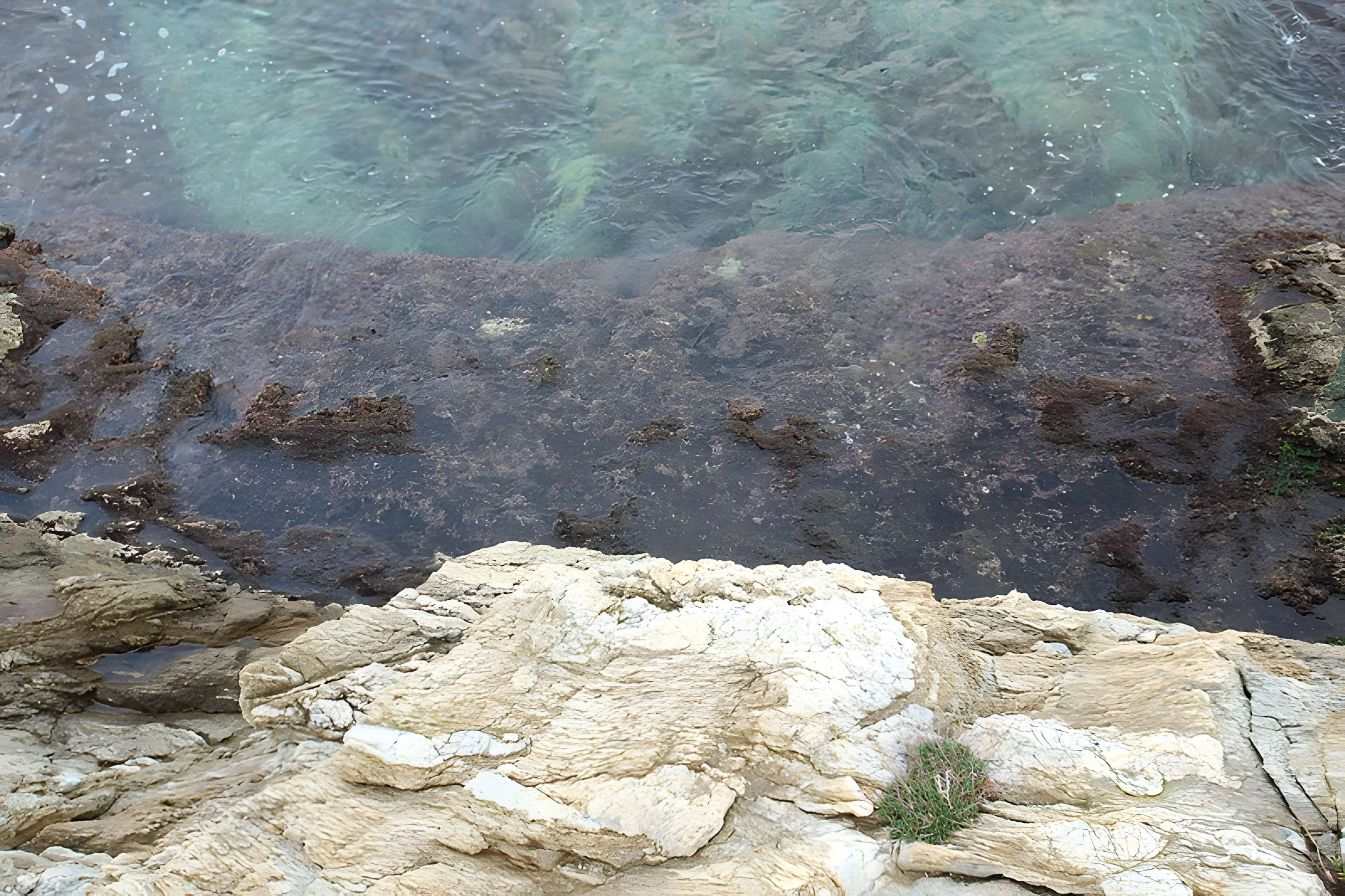 Vivier maritime de la Gaillarde à Roquebrune-sur-Argens