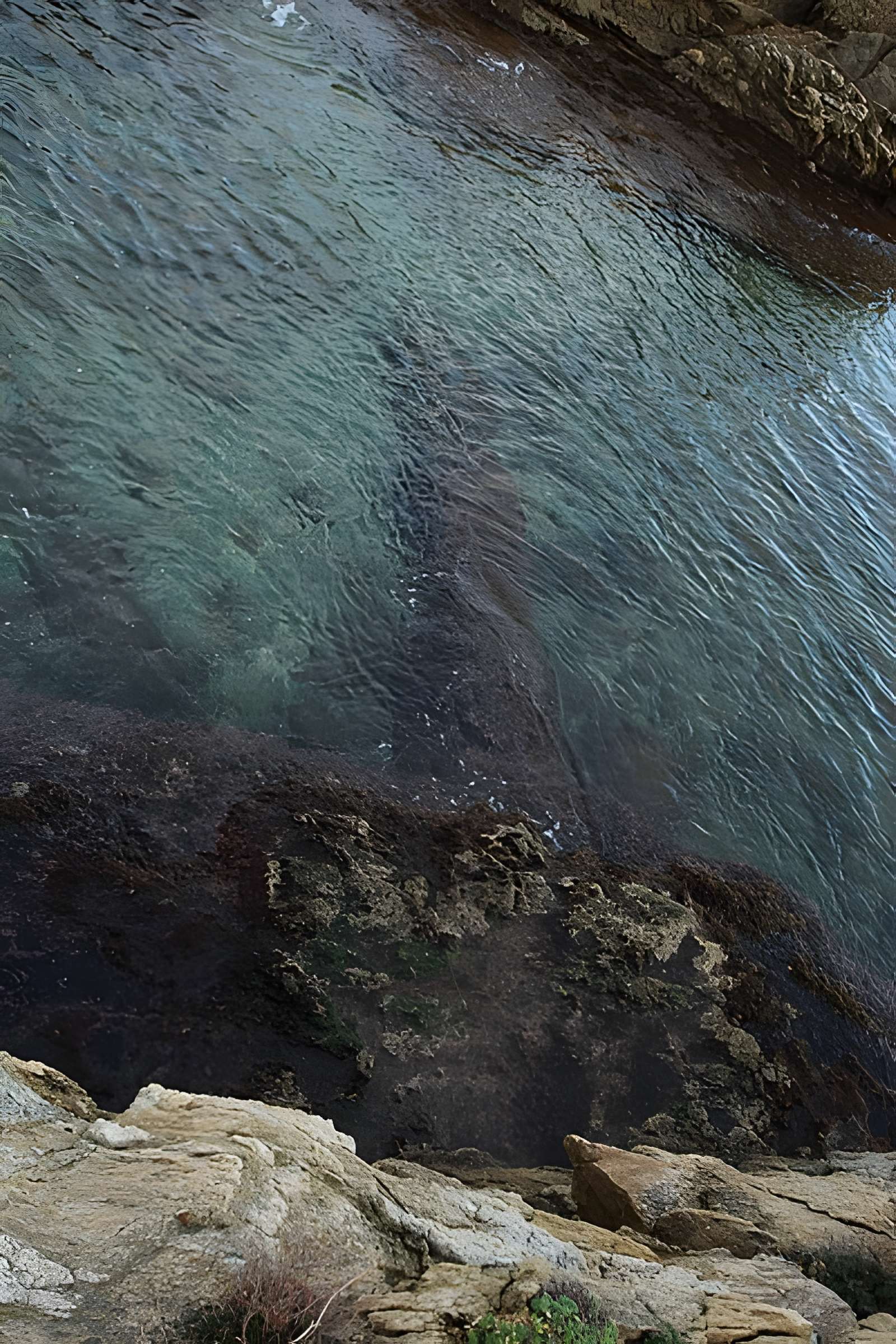 Vivier maritime de la Gaillarde à Roquebrune-sur-Argens