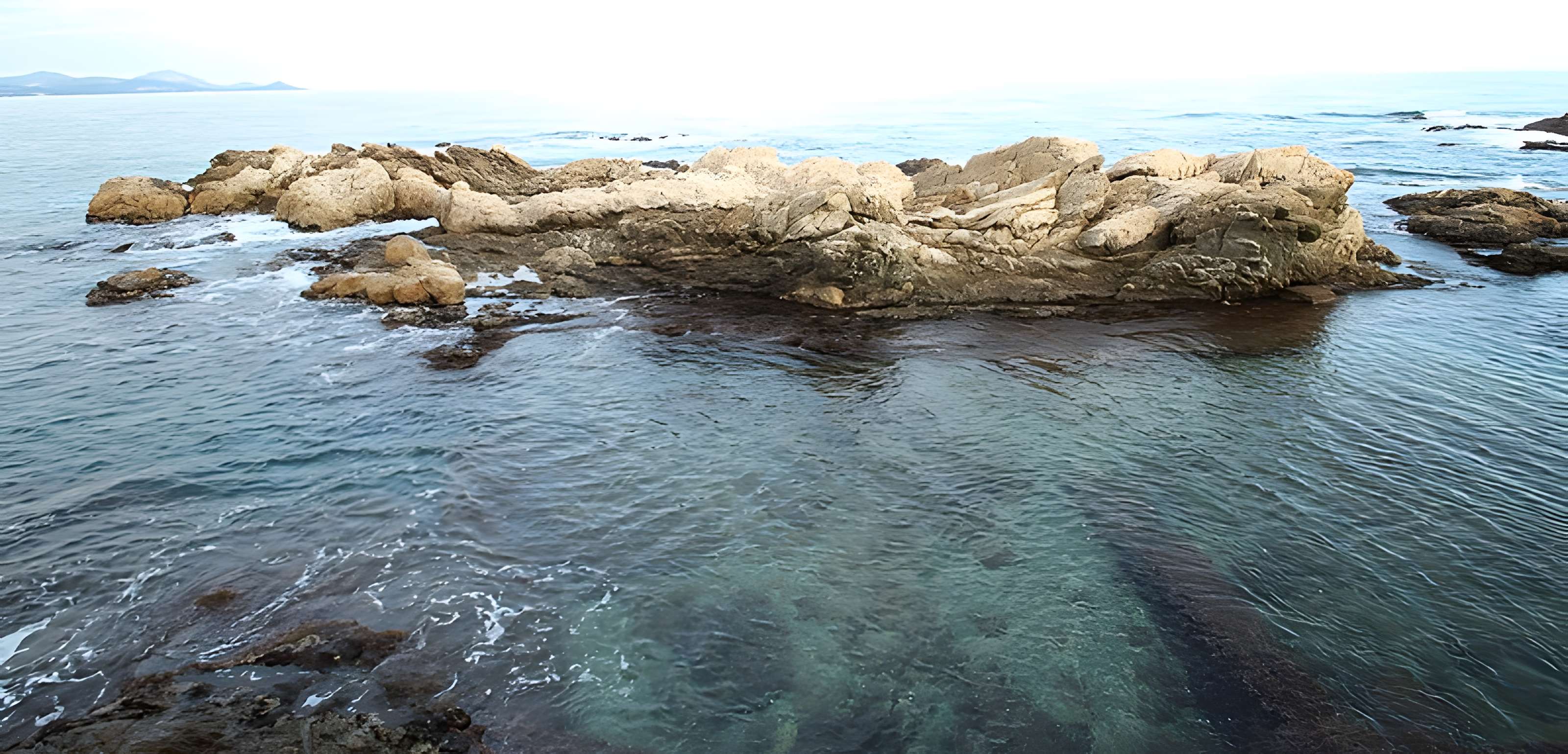Vivier maritime de la Gaillarde à Roquebrune-sur-Argens