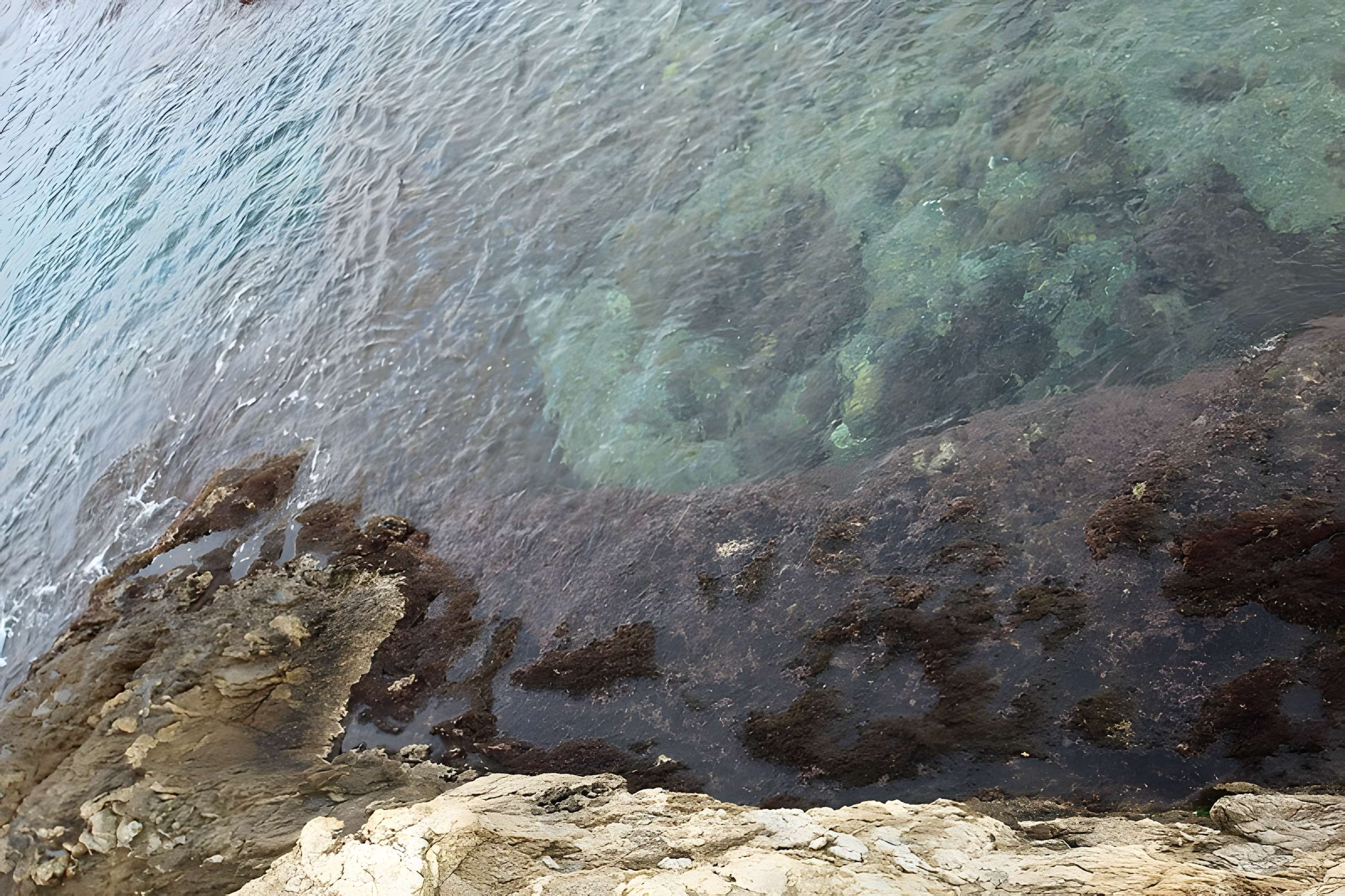 Vivier maritime de la Gaillarde à Roquebrune-sur-Argens