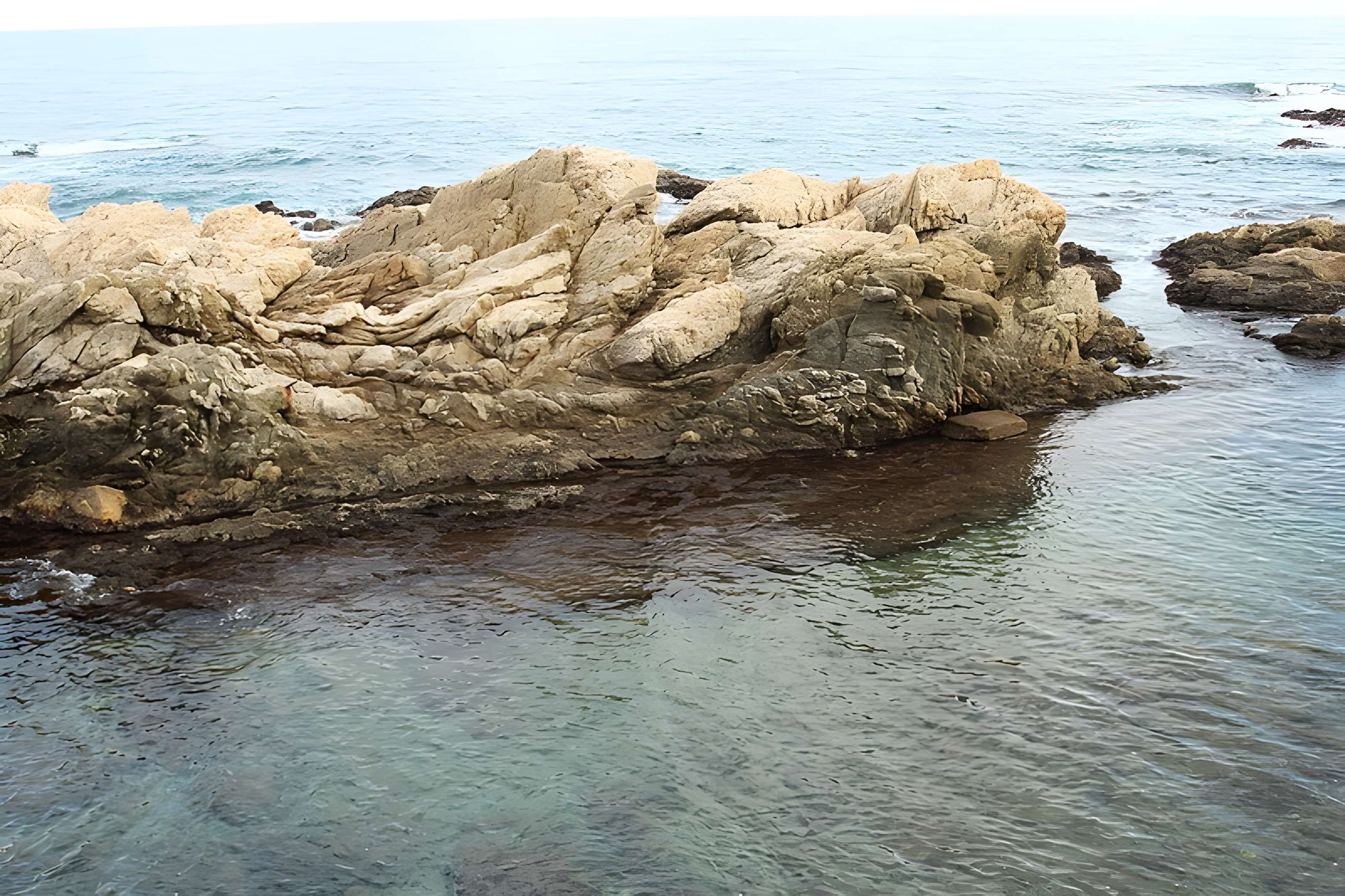 Vivier maritime de la Gaillarde à Roquebrune-sur-Argens