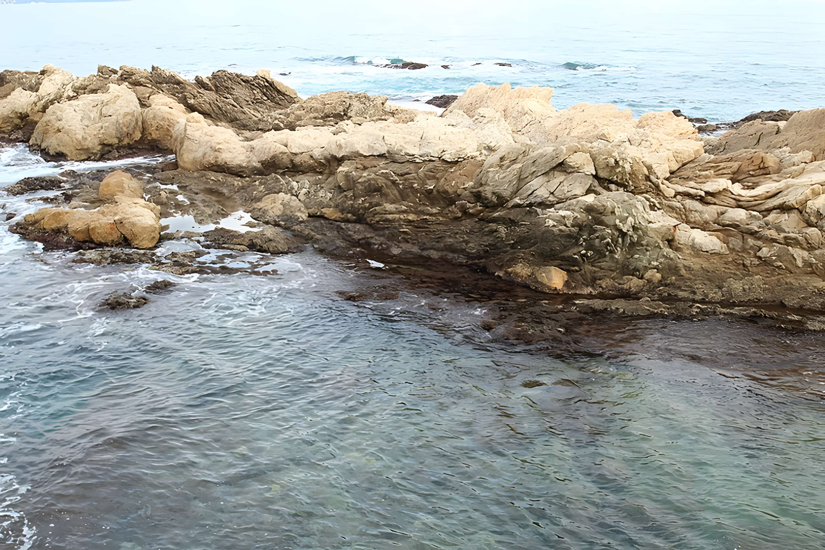 Vivier maritime de la Gaillarde à Roquebrune-sur-Argens