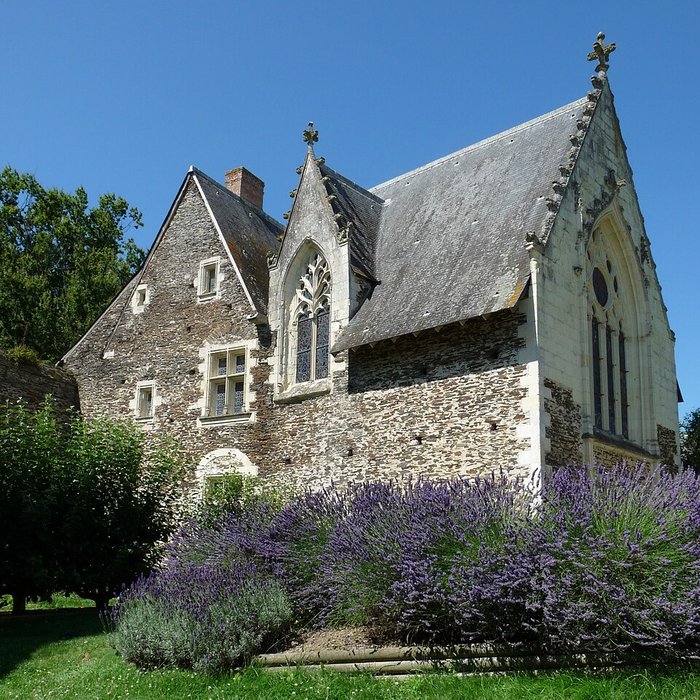 Photo de Château du Plessis-Macé