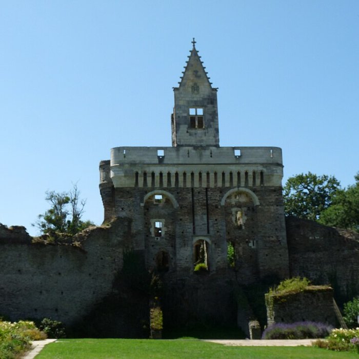 Photo de Château du Plessis-Macé