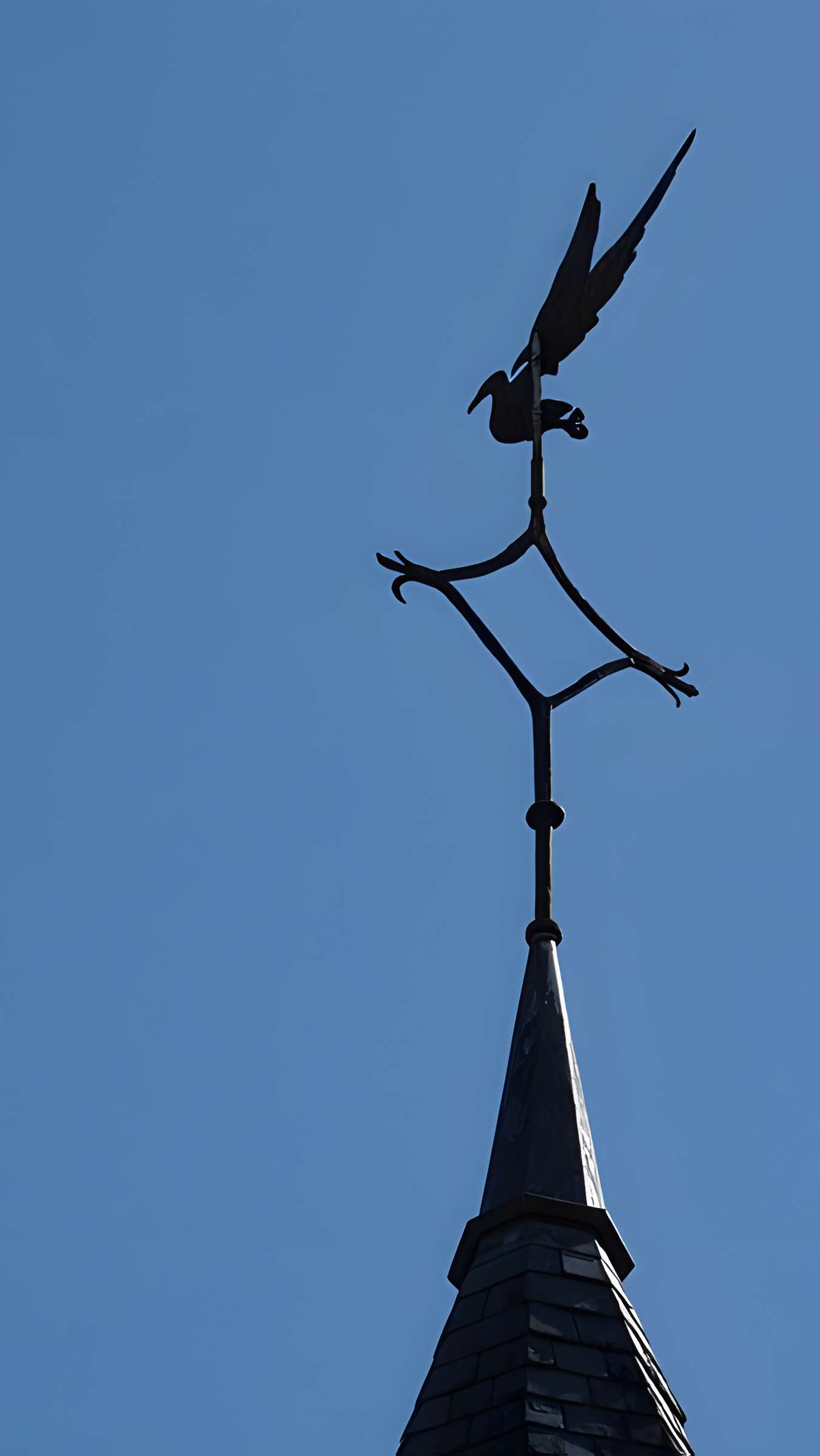 Château du Plessis-Macé