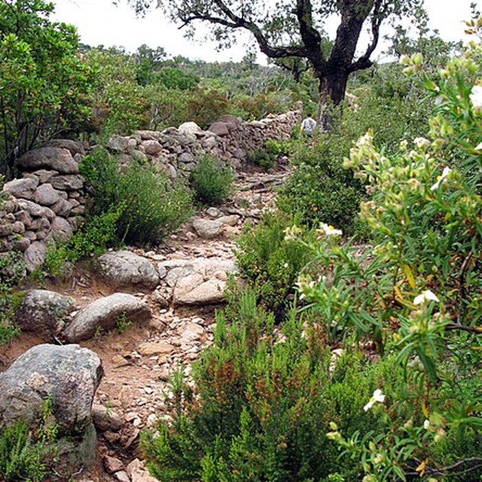 Photo de Araghju à San-Gavino-di-Carbini