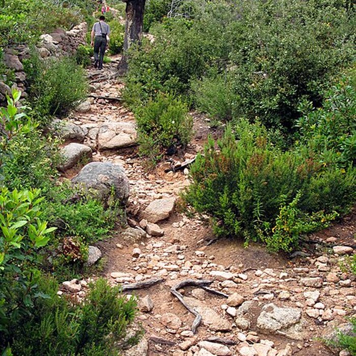 Photo de Araghju à San-Gavino-di-Carbini