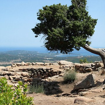 araghju a san gavino di carbini