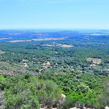 Araghju à San-Gavino-di-Carbini