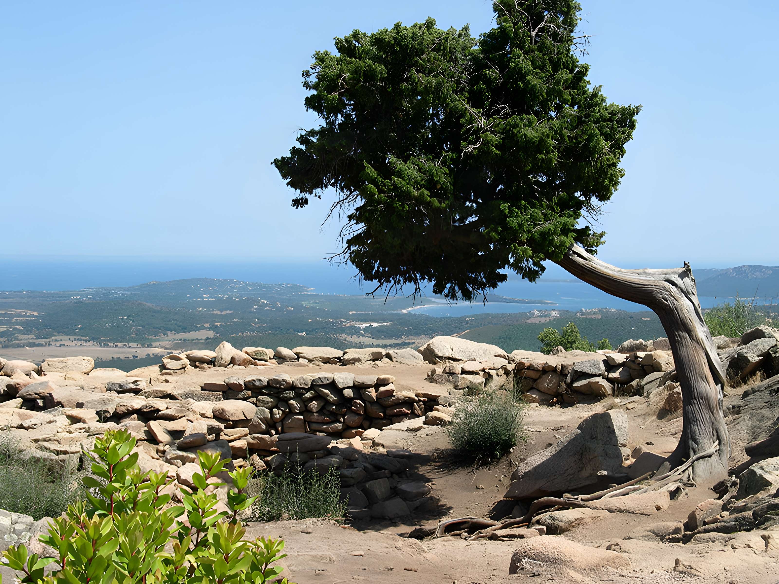 Araghju à San-Gavino-di-Carbini