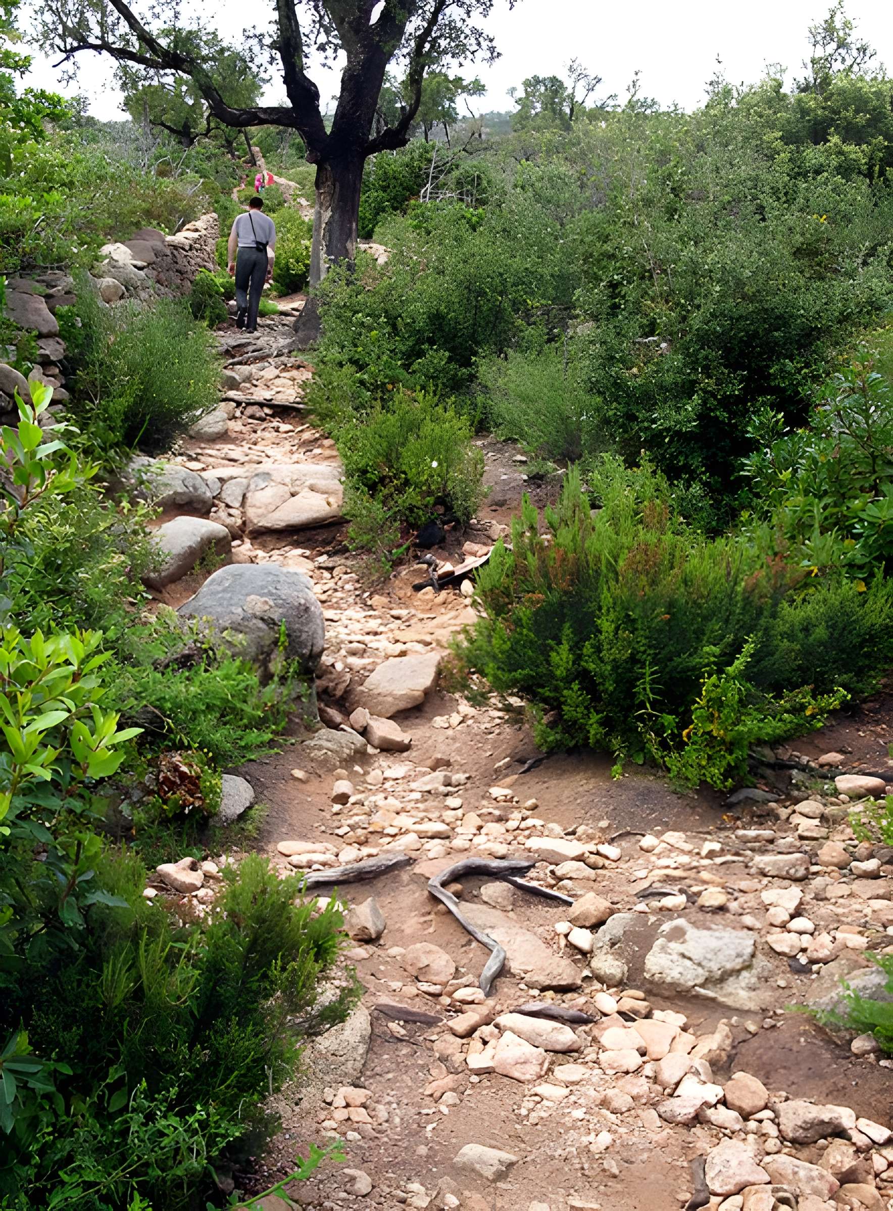 Araghju à San-Gavino-di-Carbini