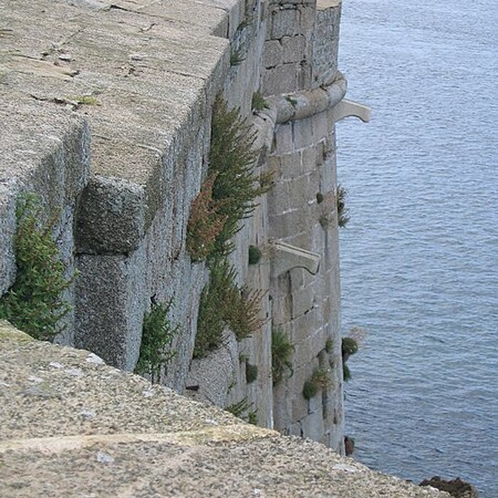 Photo de Château du Taureau