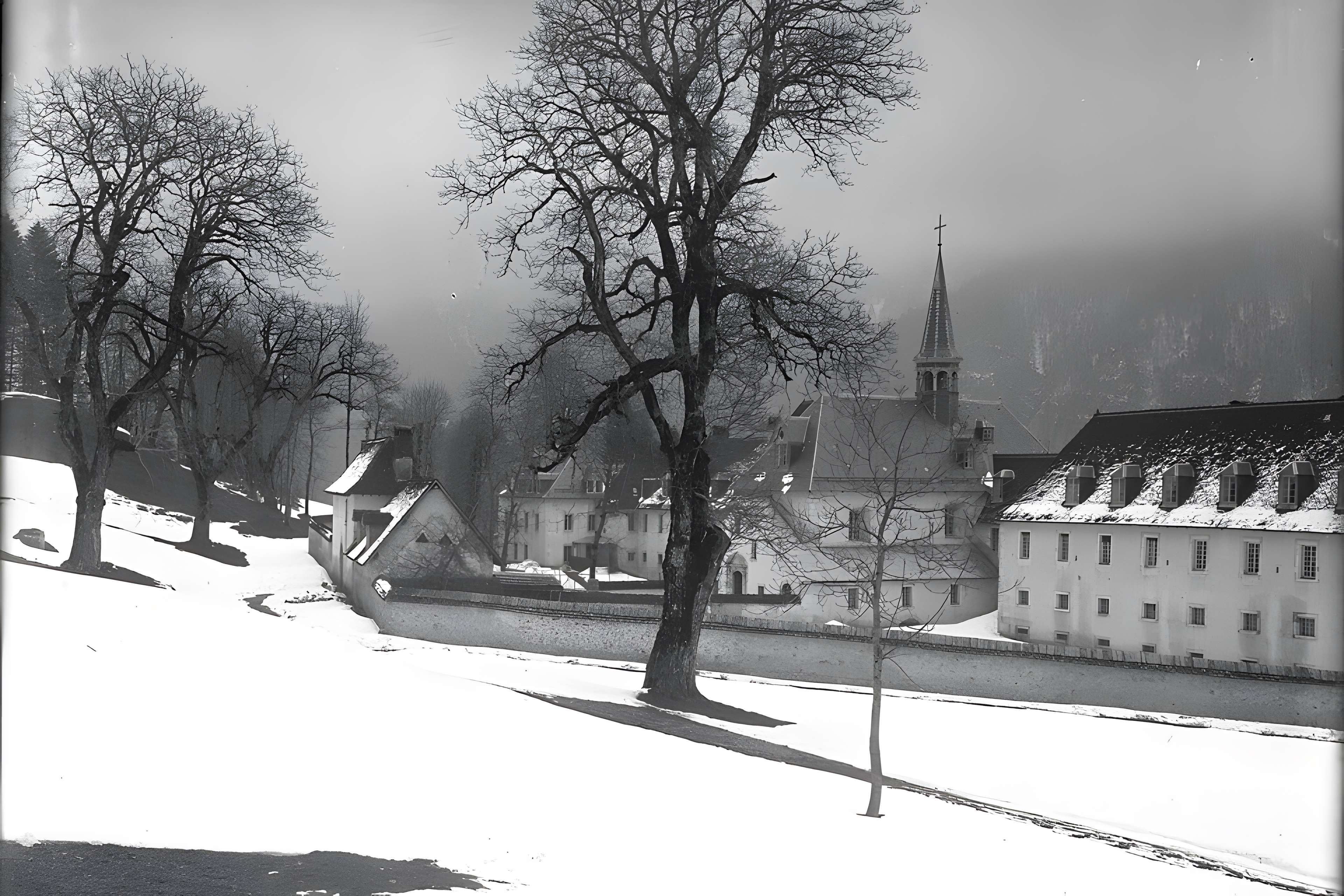 Chartreuse de Currières