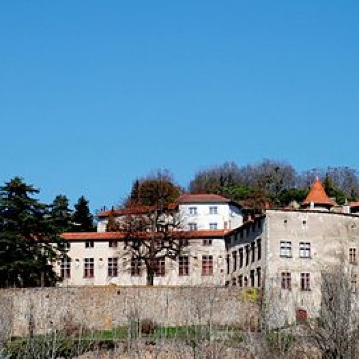 Photo de Château de Bellegarde-en-Forez