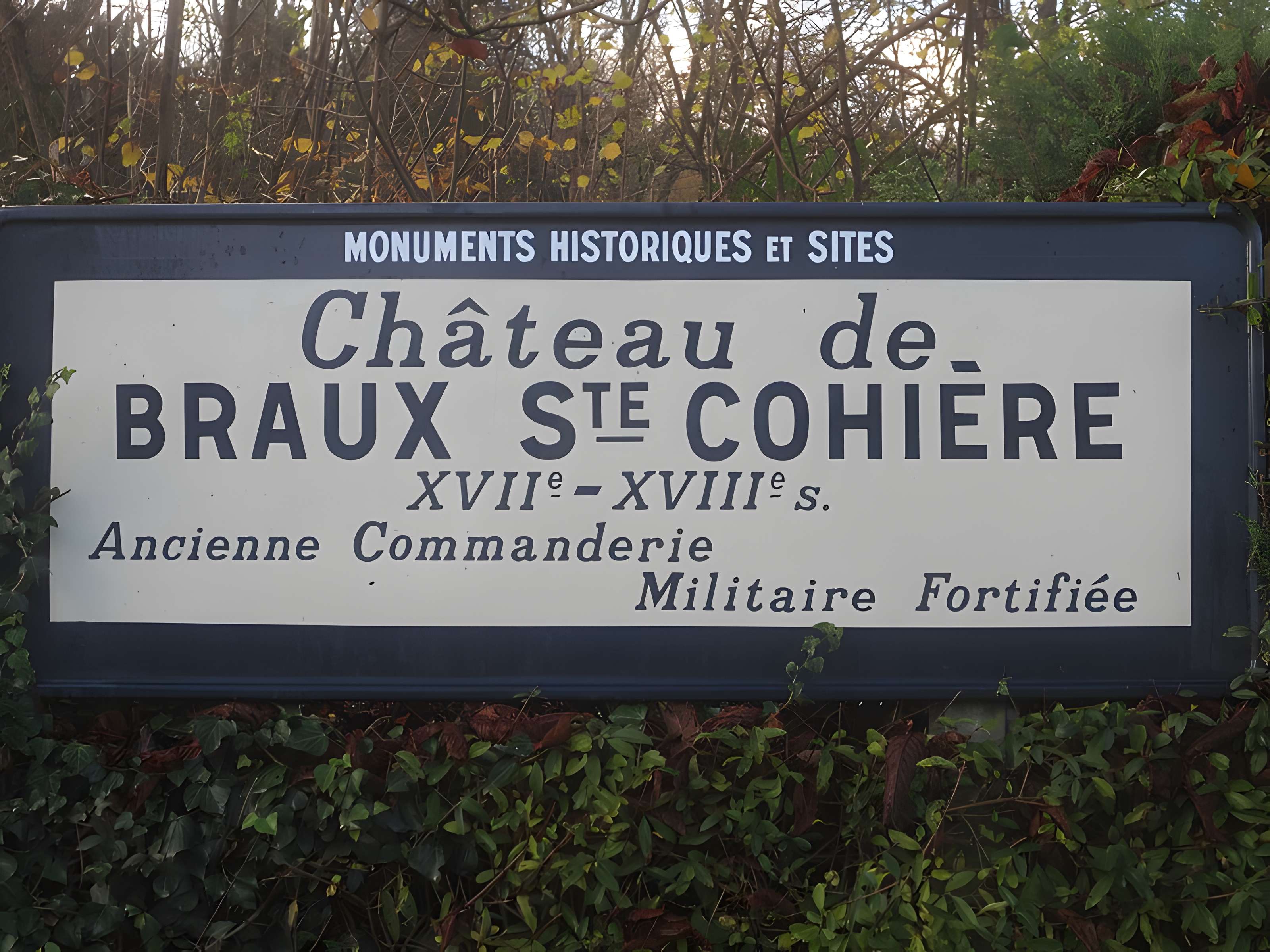 Château de Braux-Sainte-Cohière