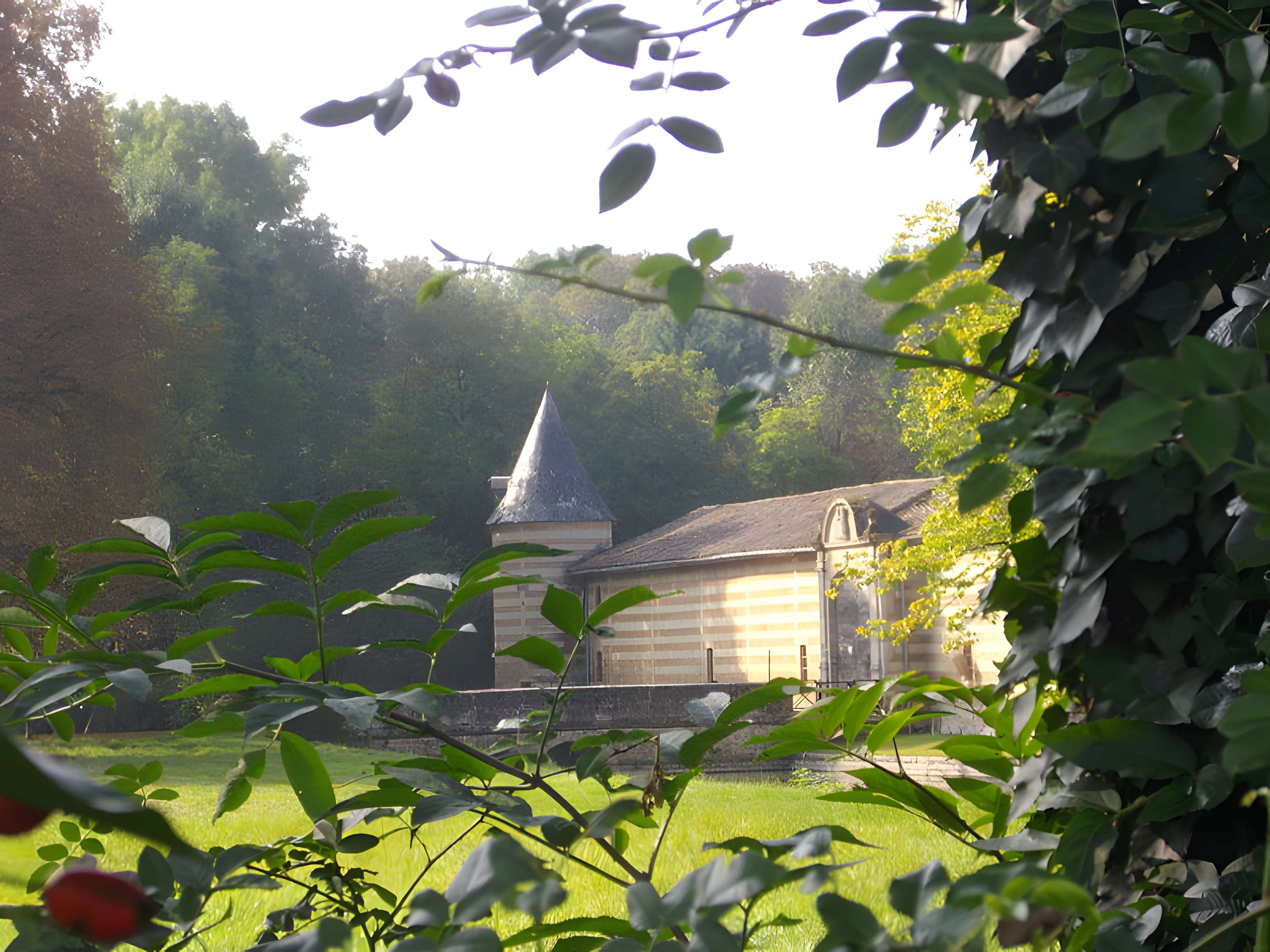 Château de Braux-Sainte-Cohière