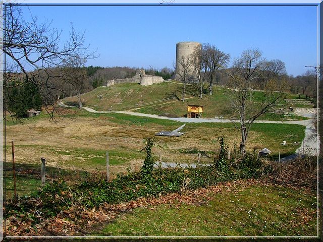 Photo de Château de Bridiers