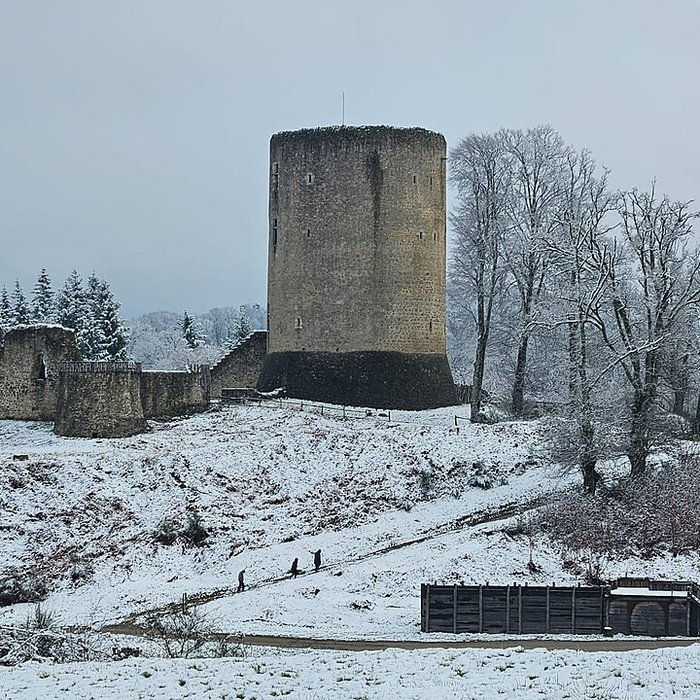 Photo de Château de Bridiers