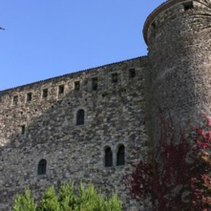 Photo de Restes de Château fort