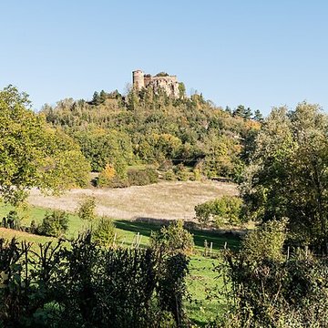 Restes de Château fort
