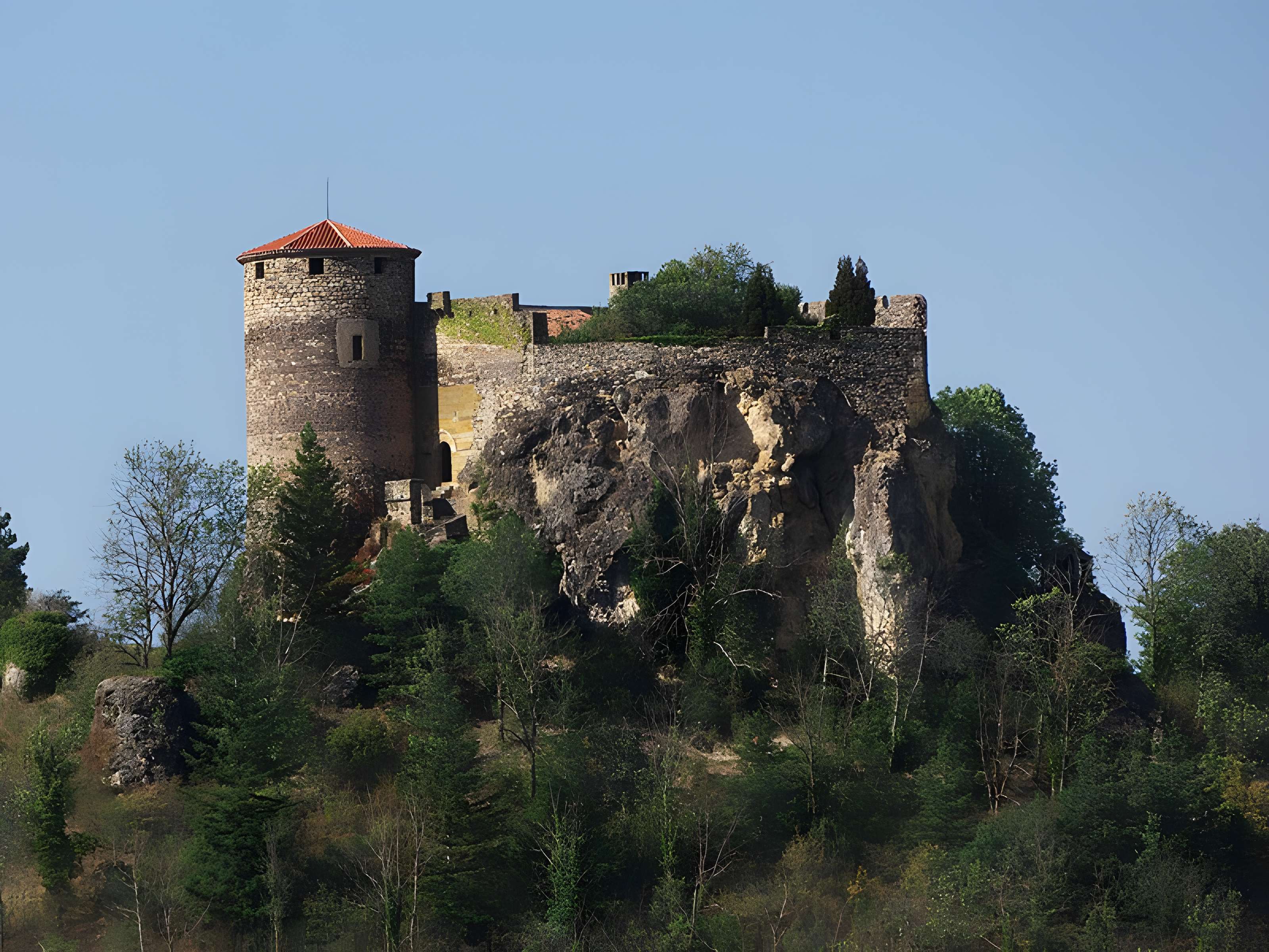 Restes de Château fort
