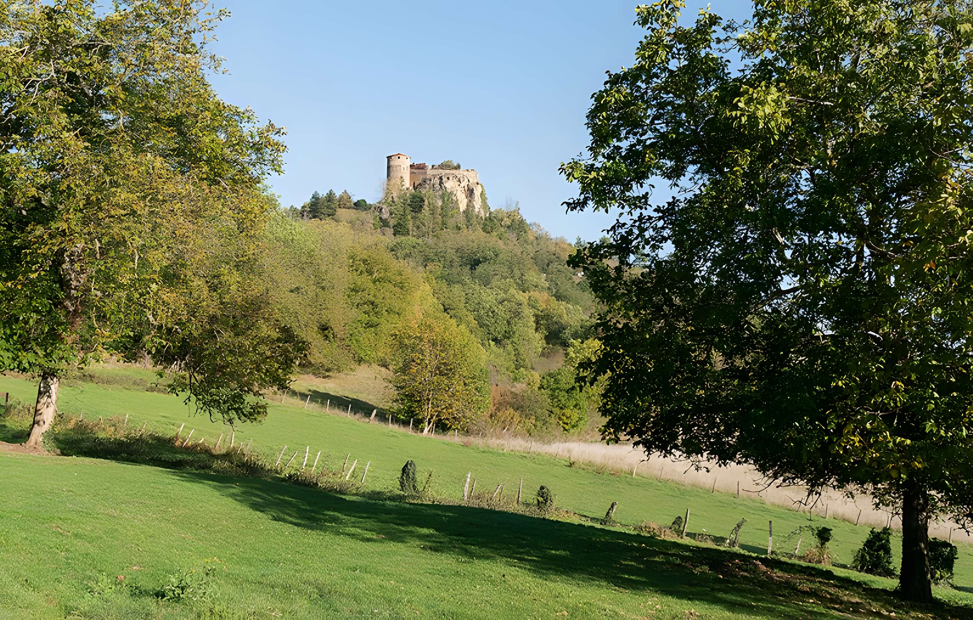 Restes de Château fort