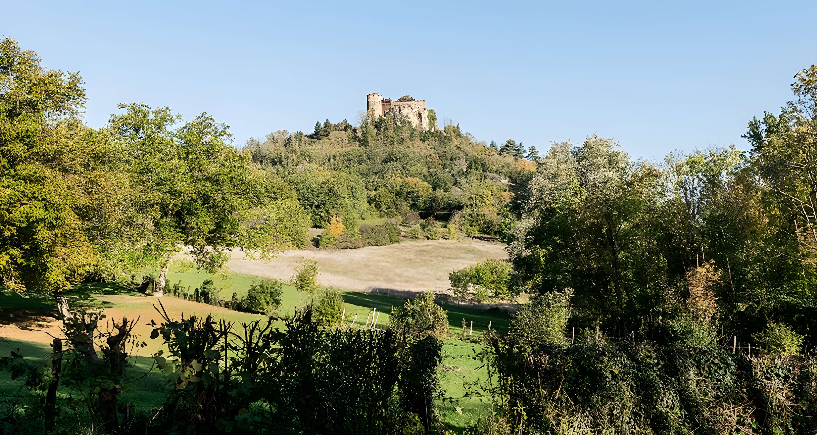 Restes de Château fort