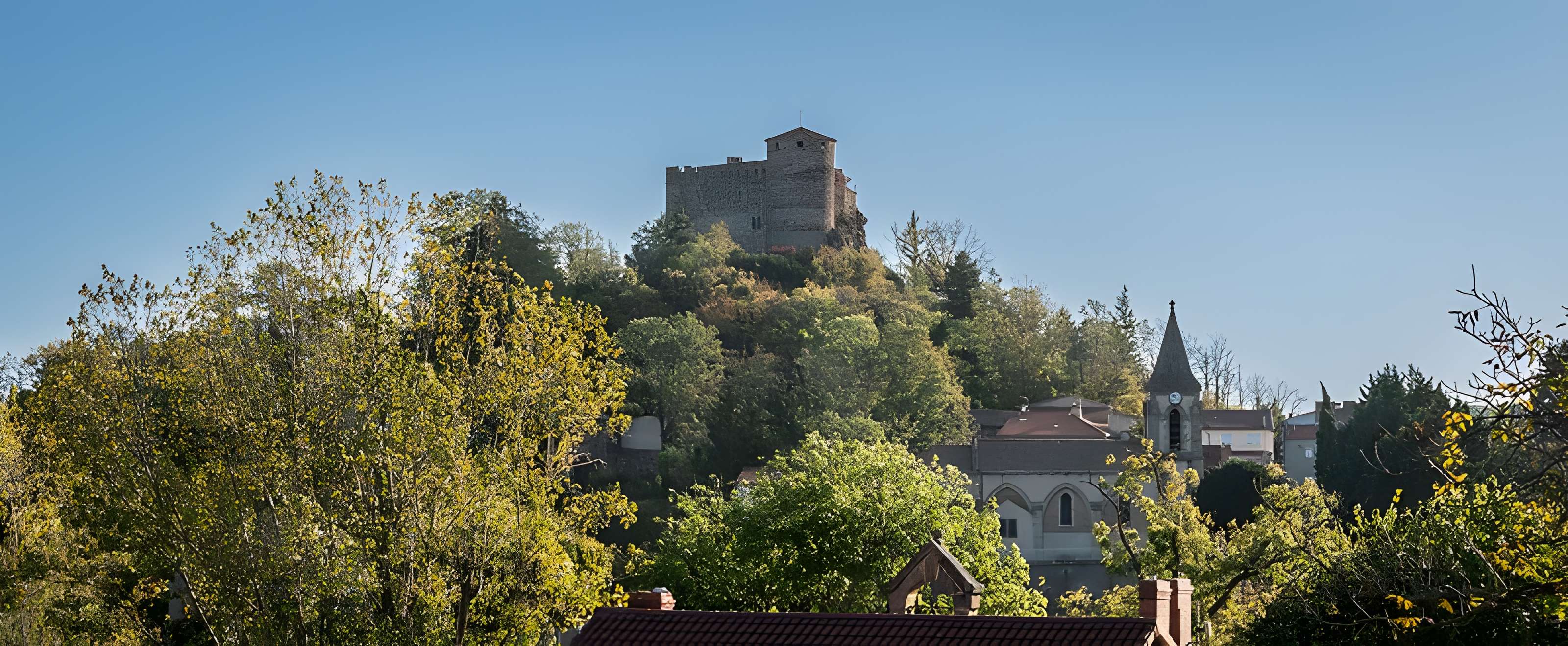 Restes de Château fort