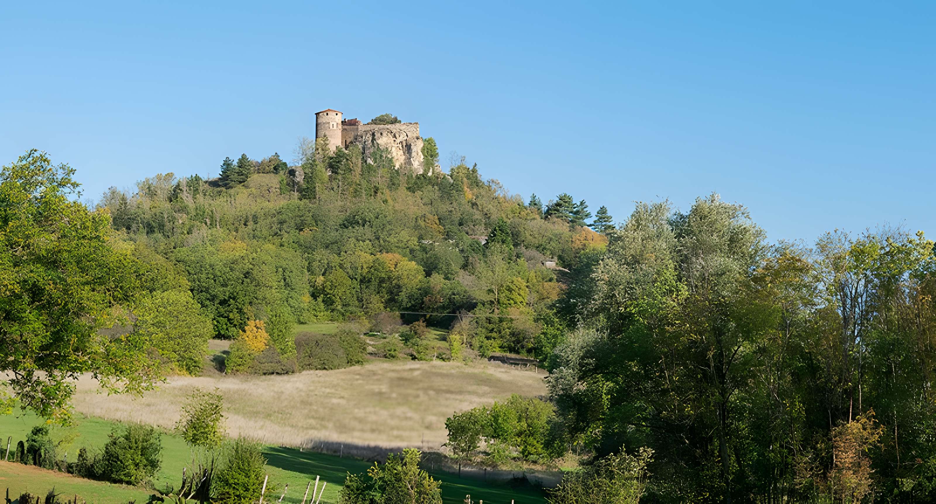 Restes de Château fort