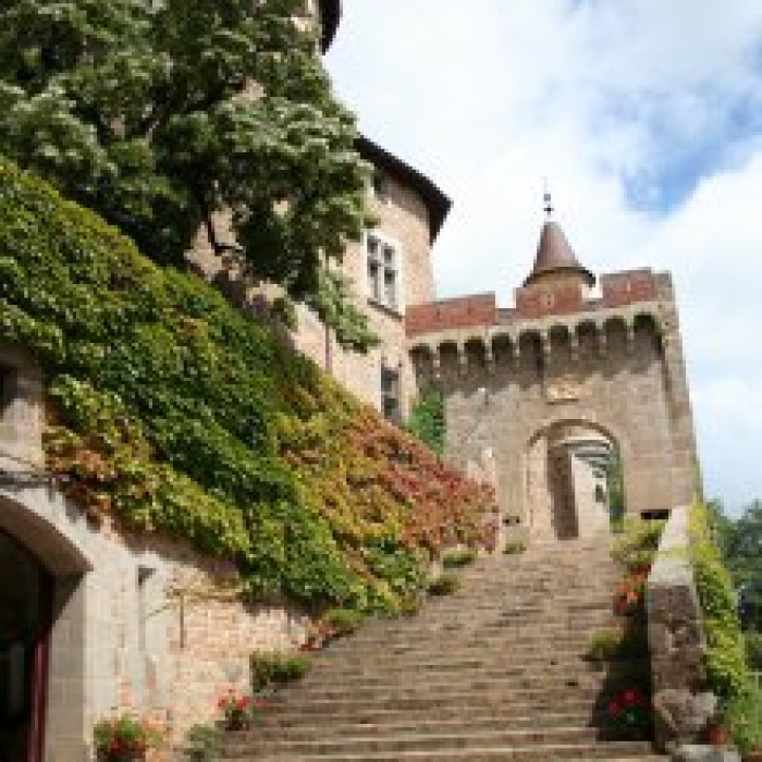 Photo de Château de Chamousset