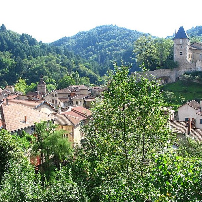 Photo de Château de Châteldon