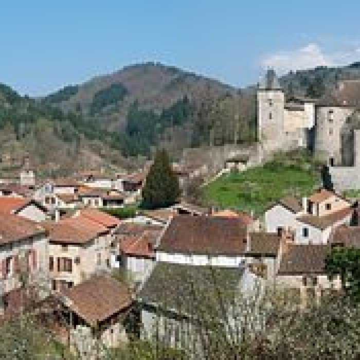 Photo de Château de Châteldon