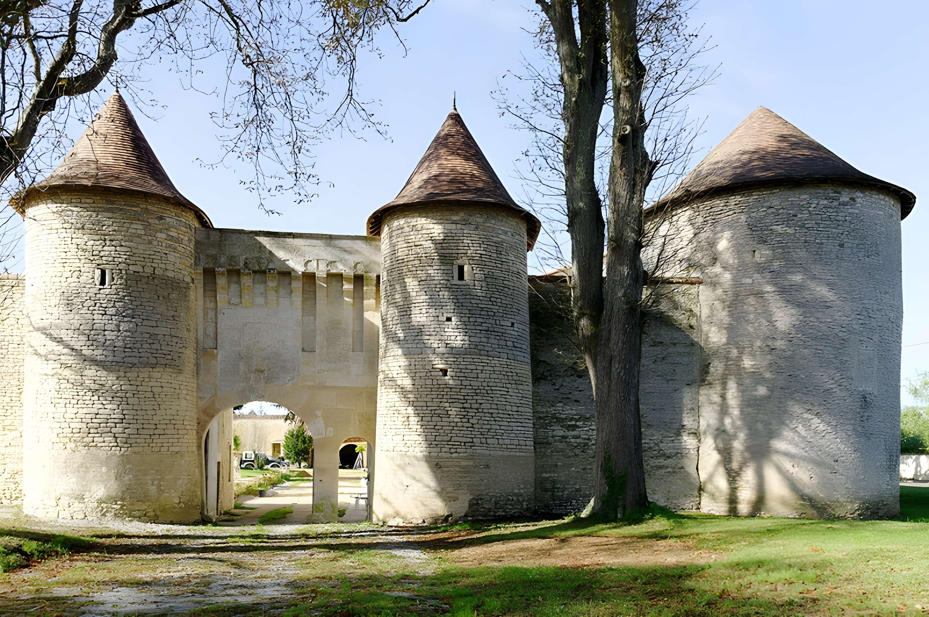Château de Furigny 