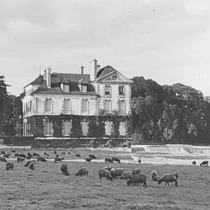 Photo de Château du Vivier