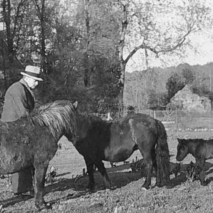Photo de Château du Vivier