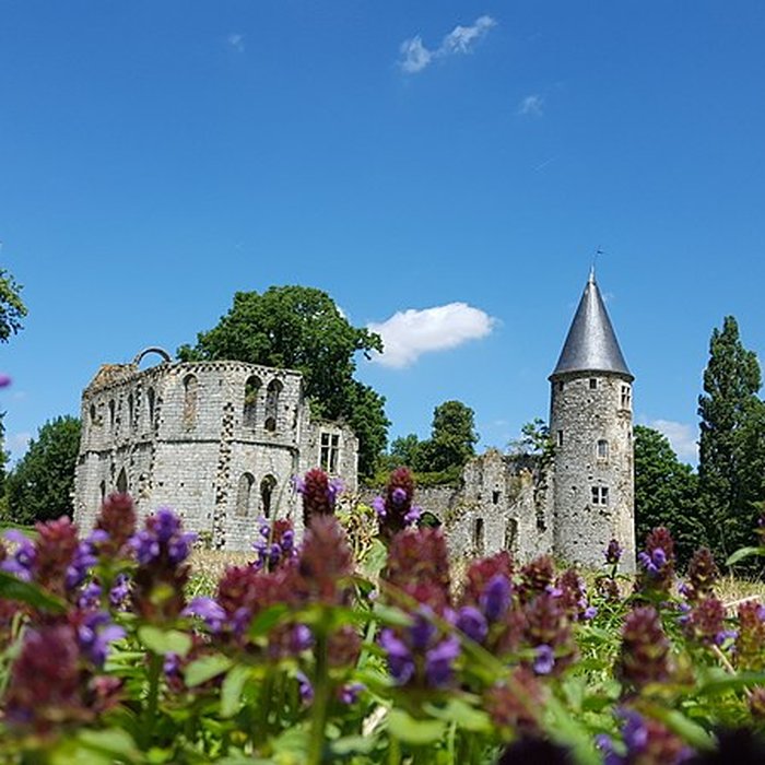 Photo de Château du Vivier
