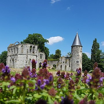 Château du Vivier