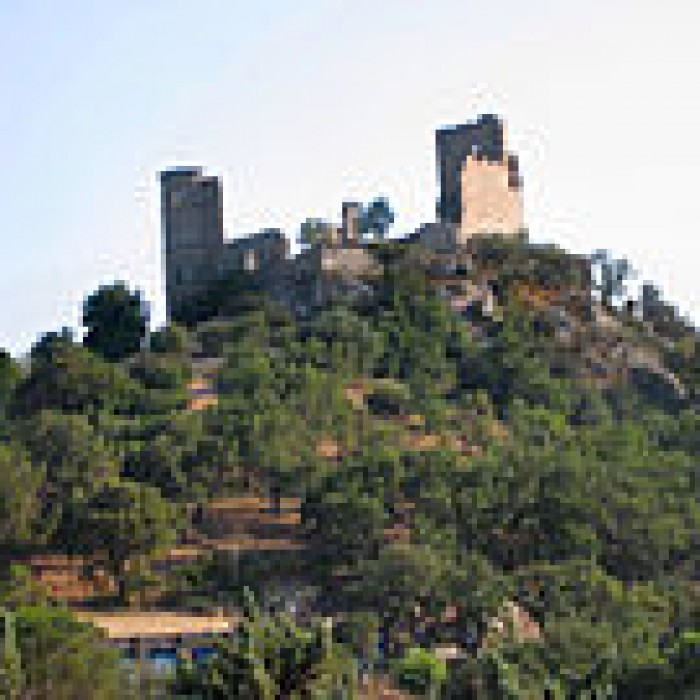 Photo de Vestiges du château