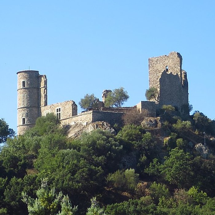 Photo de Vestiges du château