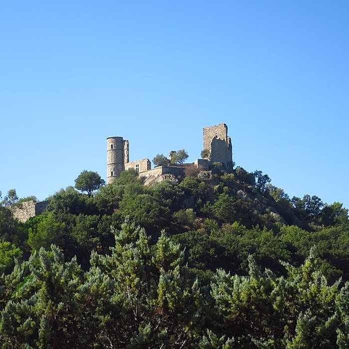 Photo de Vestiges du château