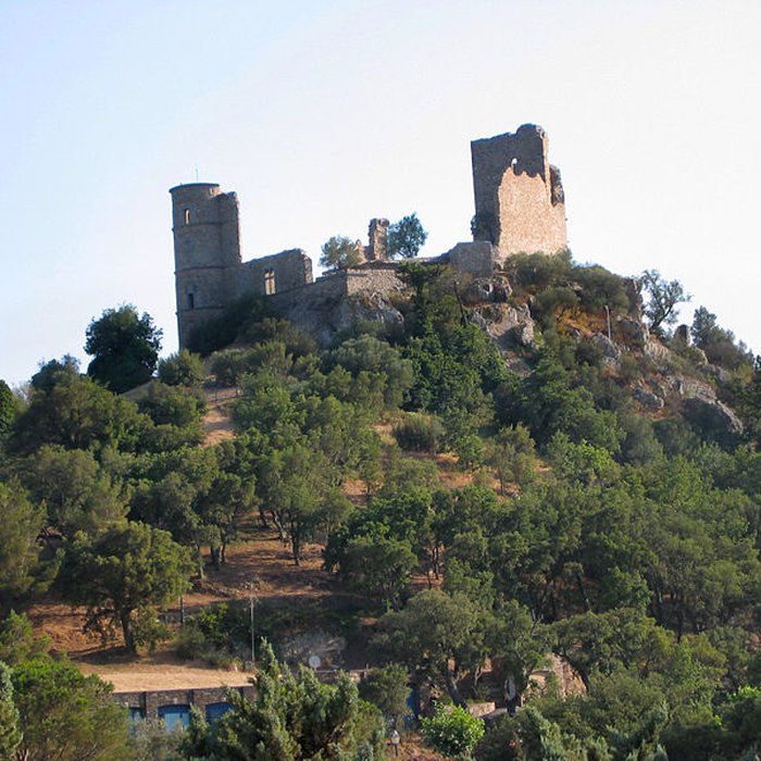Photo de Vestiges du château