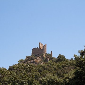 Vestiges du château