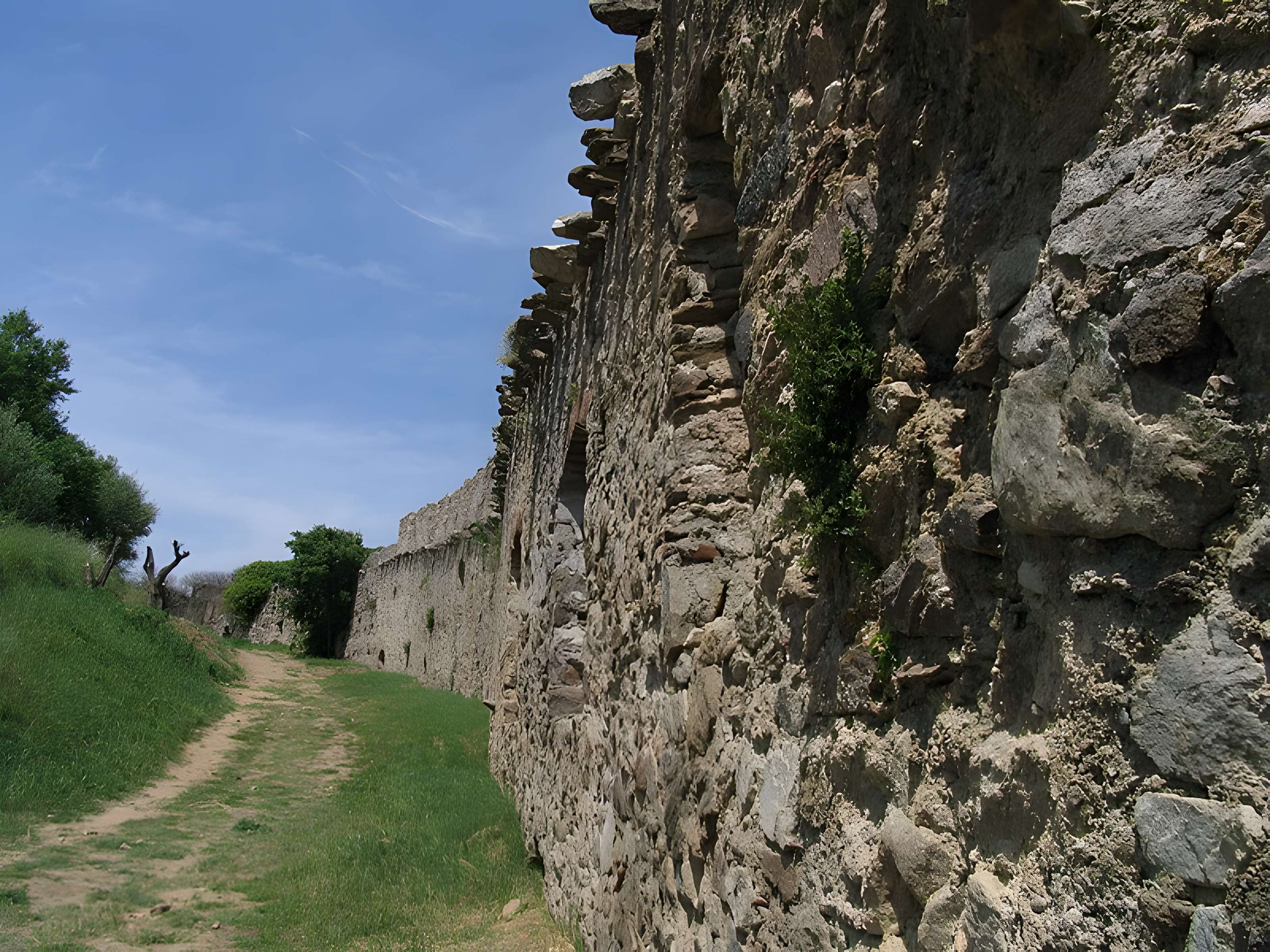 Vestiges du château